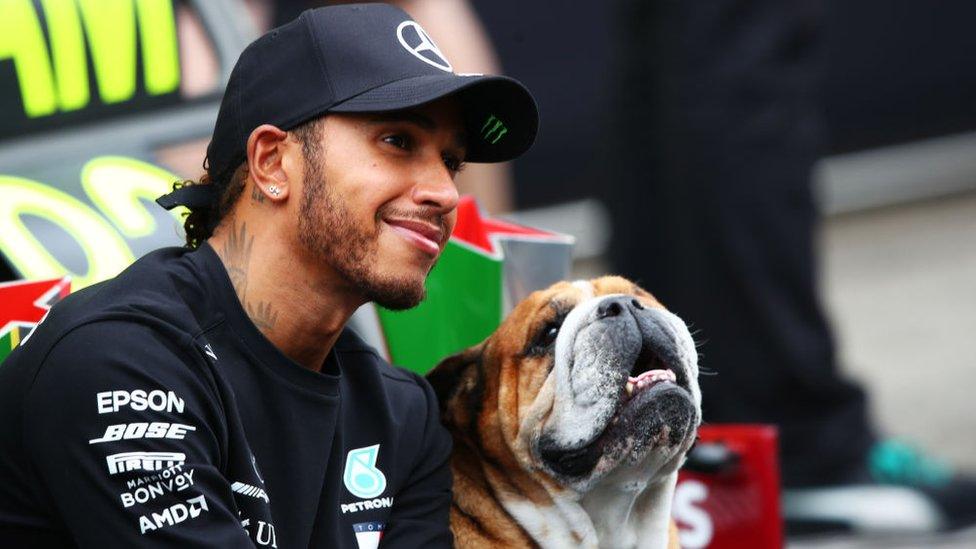 Lewis Hamilton and his dog