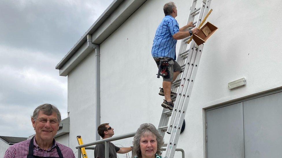 Volunteers installing swift boxes