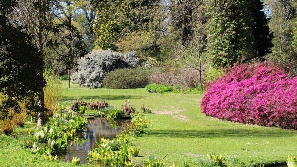 Savill Garden in Windsor Great Park