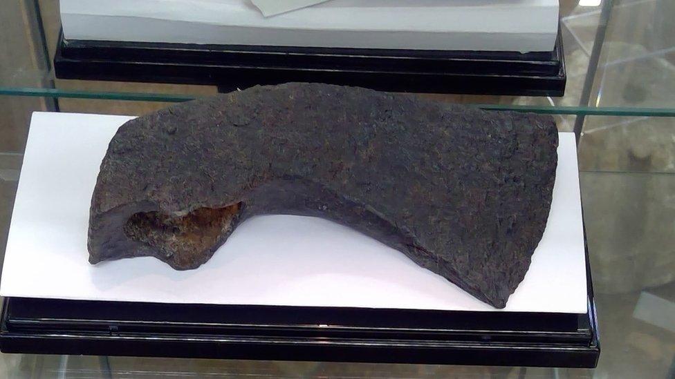 The throwing axe head