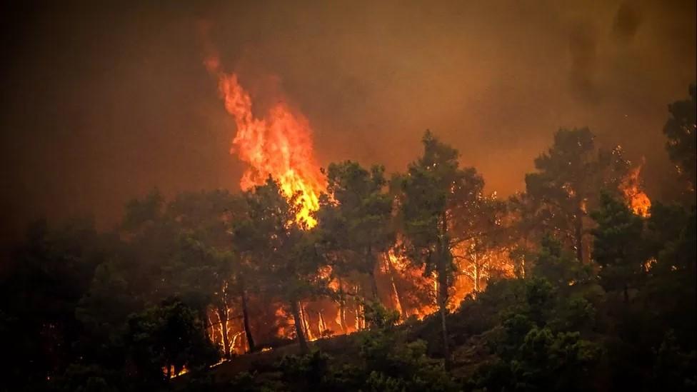 The fires in Rhodes