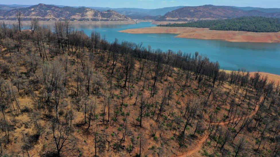 drought-in-california.