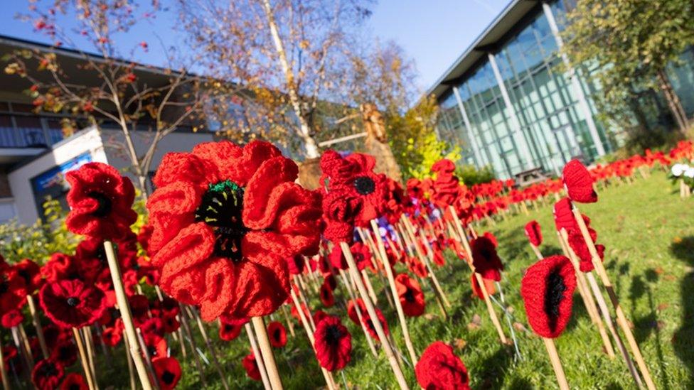 Display of 1,000 poppies