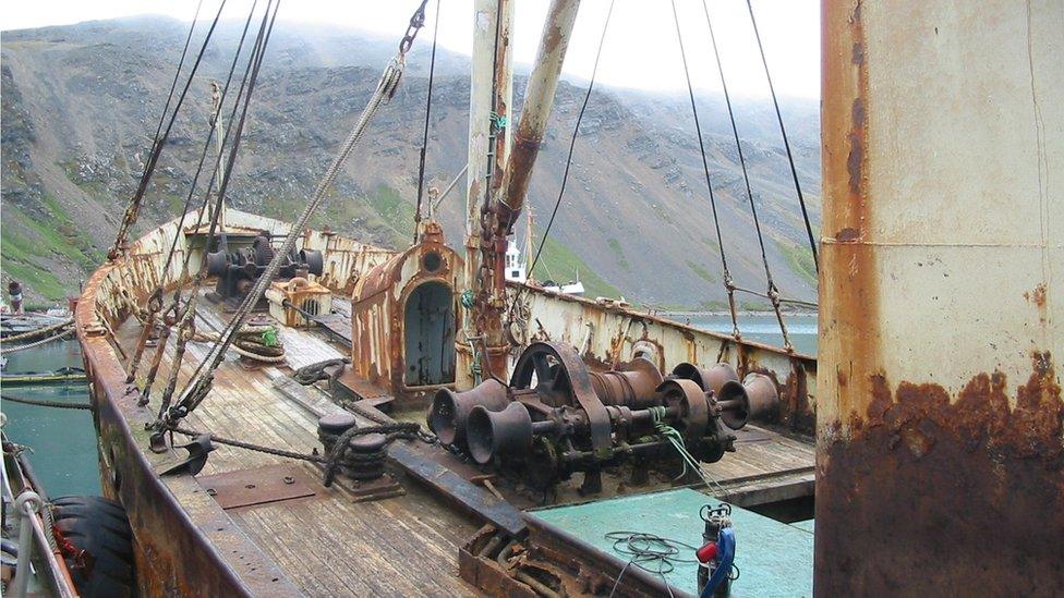 Viola has been rusting in South Georgia for decades