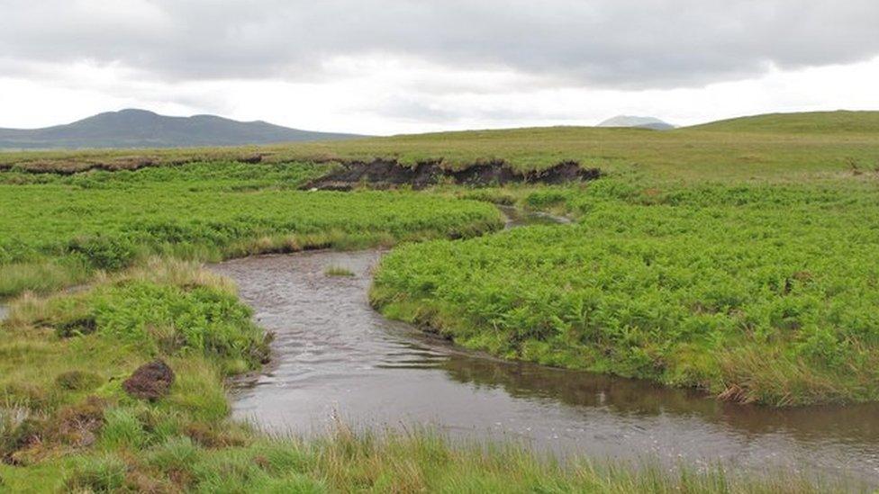 A' Mhòine, Dùthaich MhicAoidh