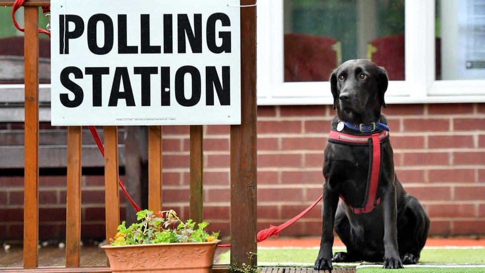 Polling-station-sign-plus-dog.