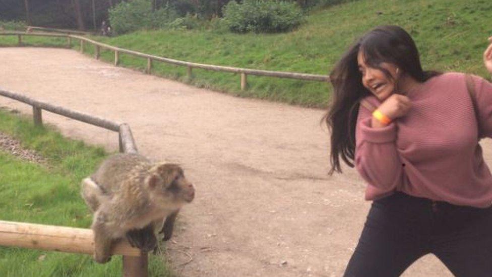 monkey leaning towards a young woman who truns to run