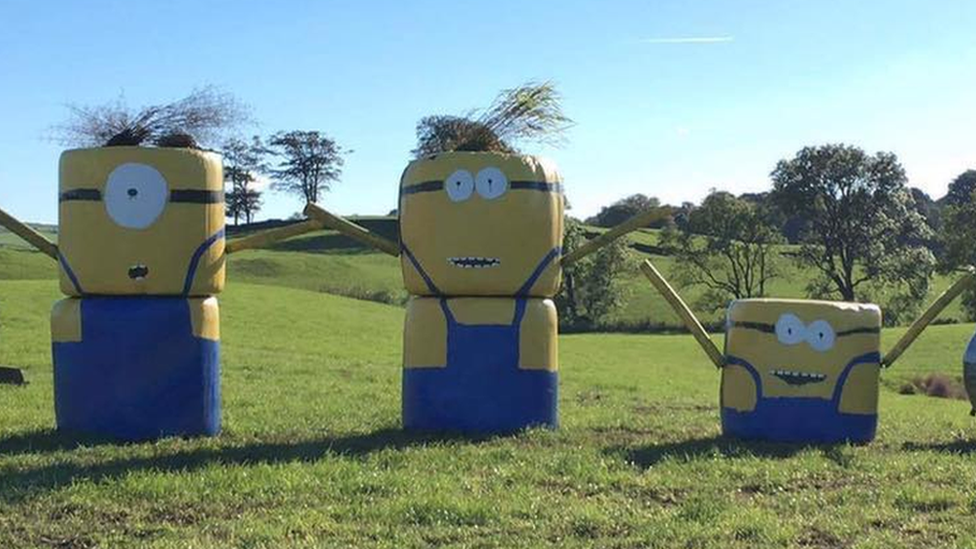 Hay bale art