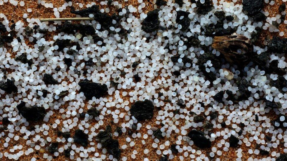 Chemical granules used to manufacture plastic washed ashore from the burning cargo vessel MV X-Press Pearl