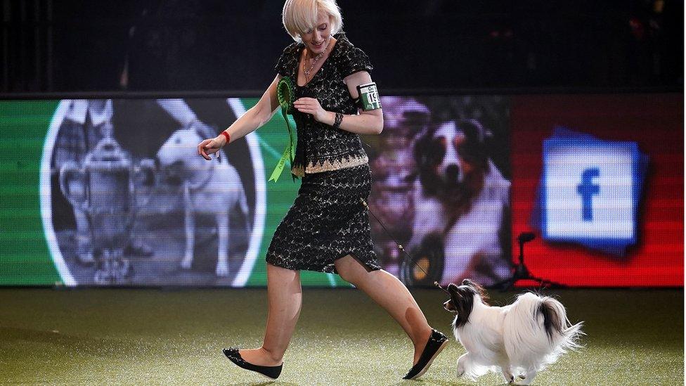 Dylan and his owner Kathleen Roosens