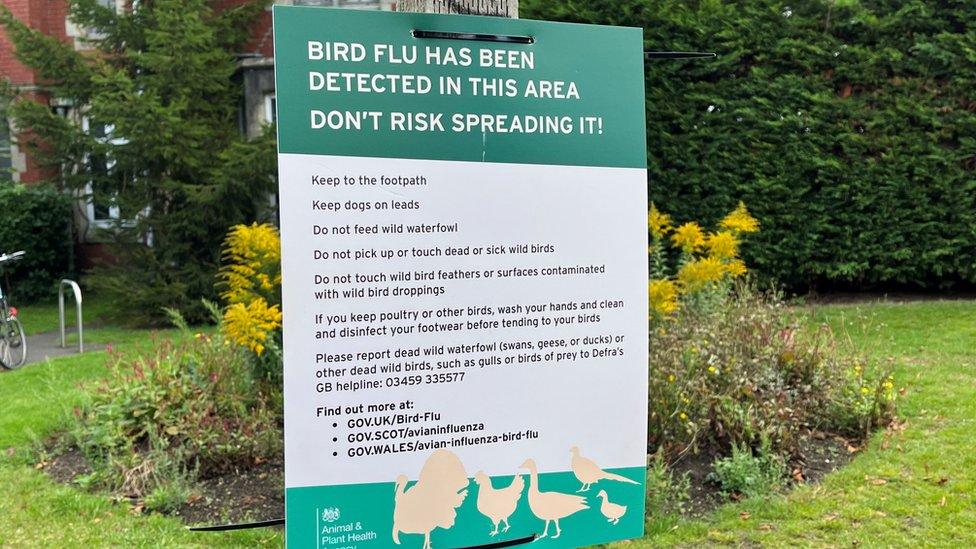 A bird flu warning sign