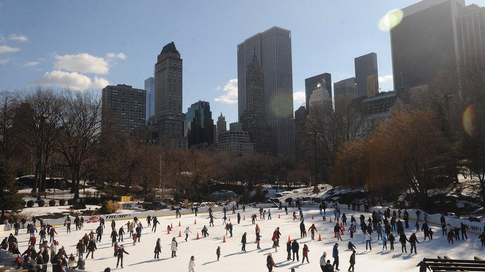 Wollman rink