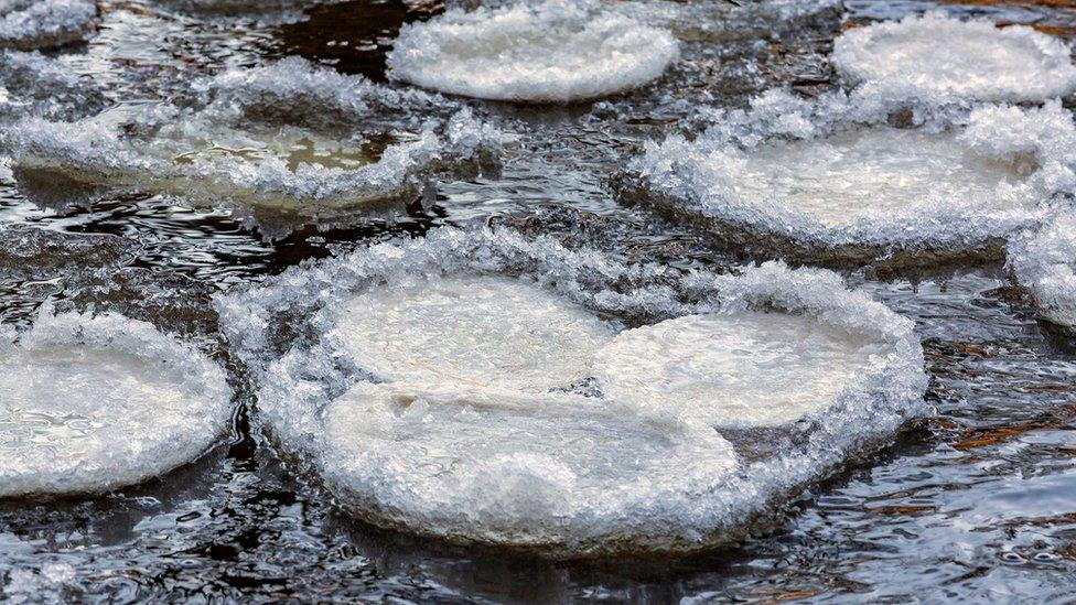 Ice pancakes on the River Swale