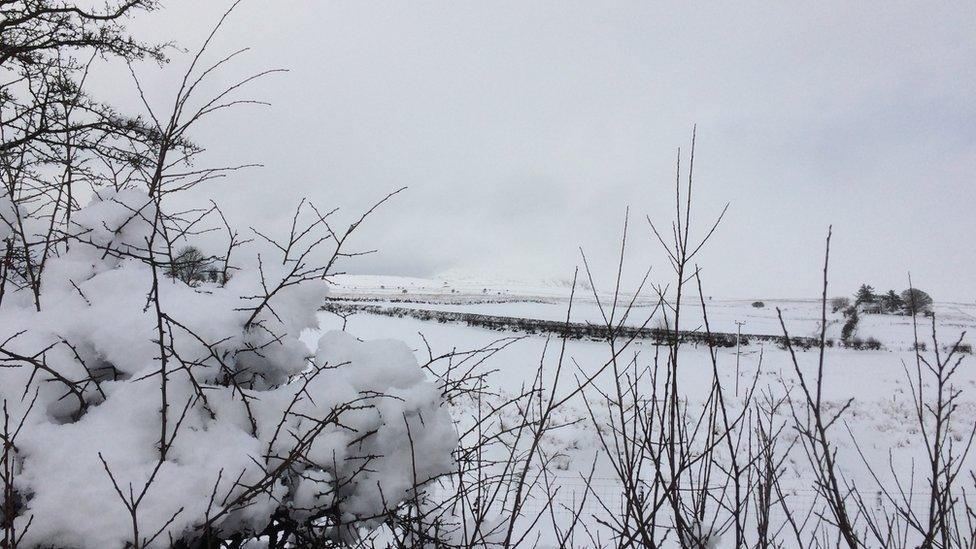 The scene on Slemish Mountain on Wednesday morning