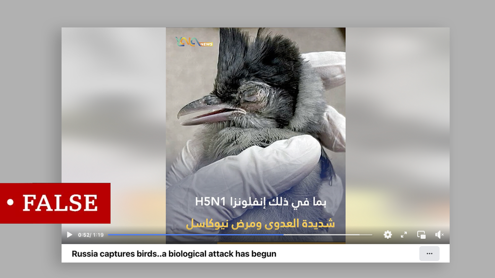 Screenshot of a false story about birds as bioweapons