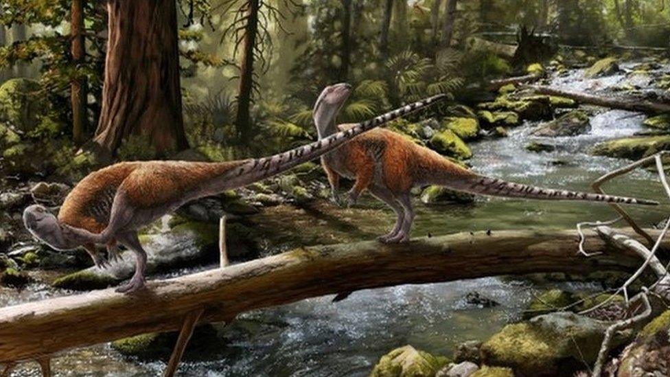 Artist's impression of how Vectidromeus Insularis might have looked