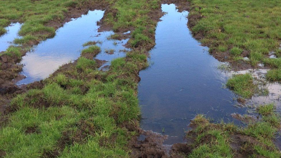 Puddles on a field at Willie Harper's farm. Usually more cows would be out on this field.