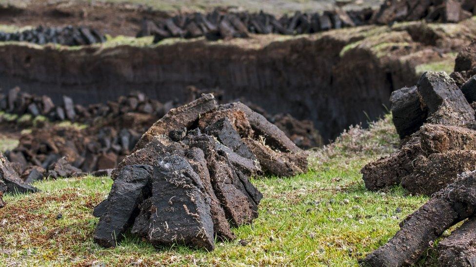 Peat bog, Shetland