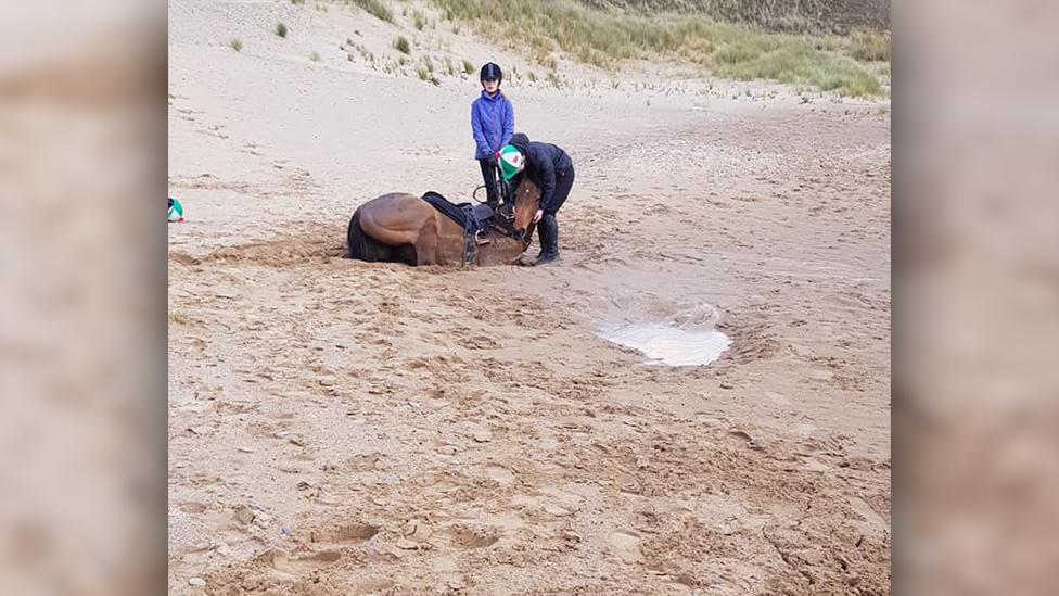 Horse stuck in sand