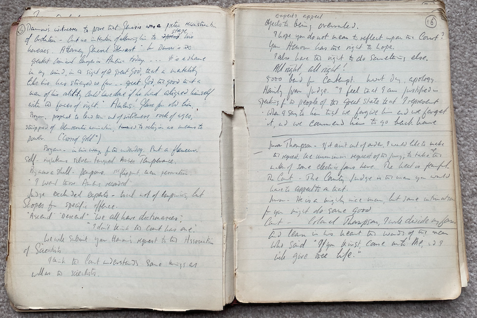 Handwritten pages from the diaries