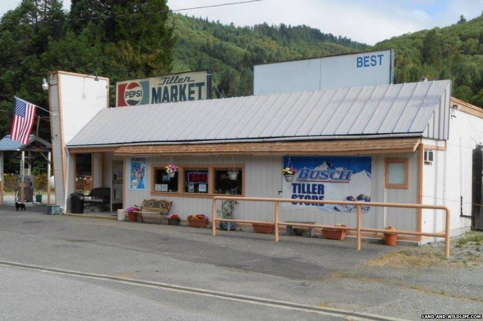 The general store in Tiller, Oregon