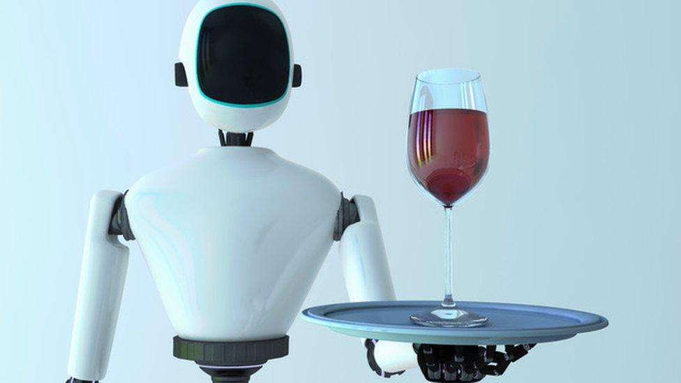 Robot butler