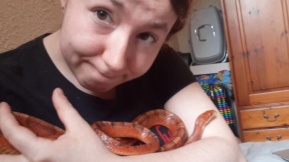 Owner holding corn snake while looking at camera