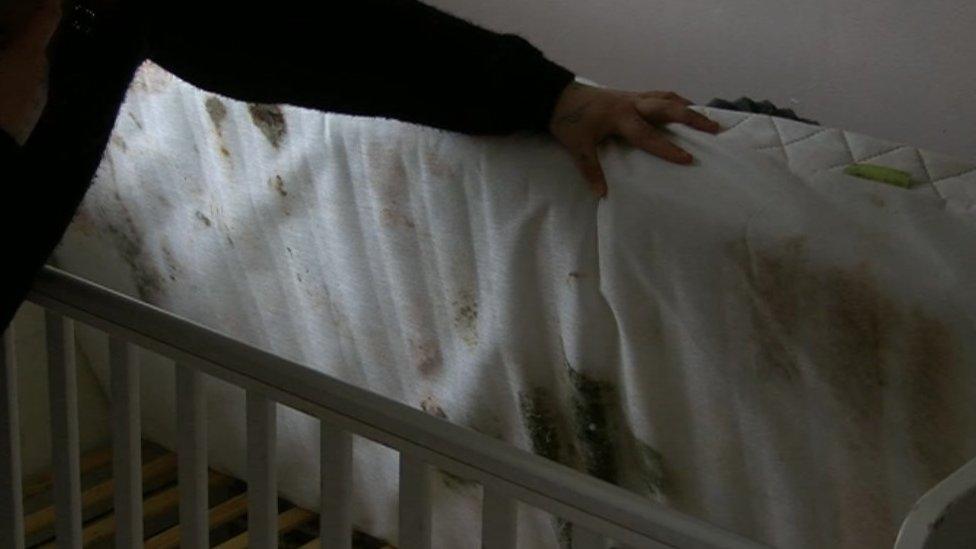 Mouldy mattress