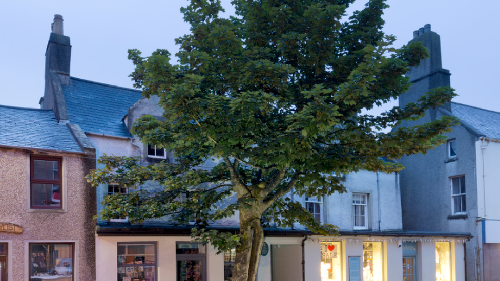 The Big Tree, Kirkwall, Orkney