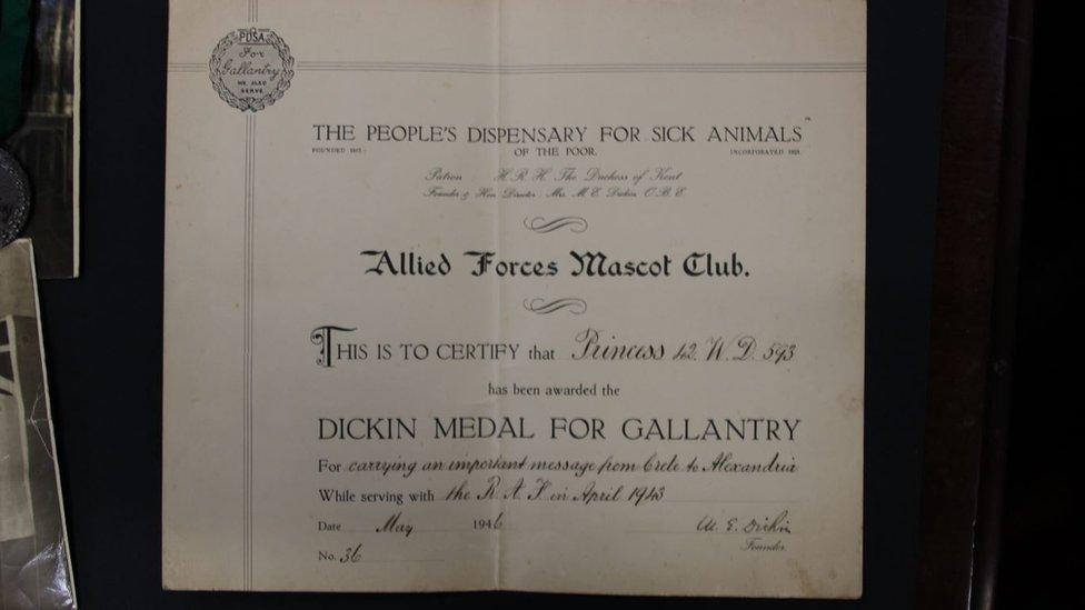 The Dickin Medal for Gallantry certificate