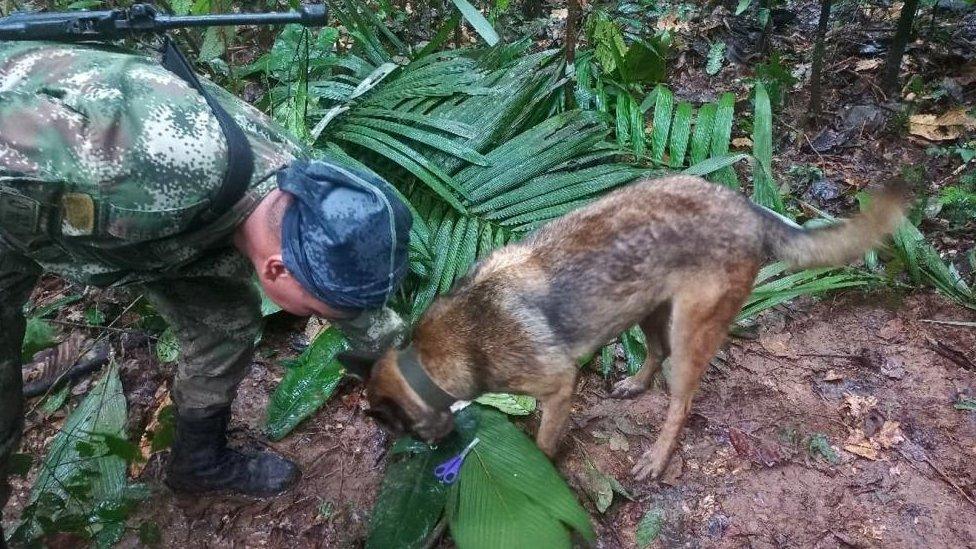 dog and a member of the special forces commandos, inspecting what would be an improvised shelter with scissors and hair clips