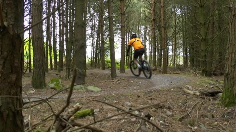 Cannock Chase cycle track