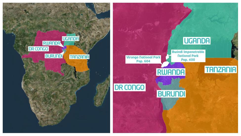 Two images - first shows African map highlighting Democratic Republic of Congo, Rwanda, Burundi, Uganda and Tanzania. Second image is closer - shows same countries with two mountain gorilla parks highlighted across Rwanda, Democratic Republic Congo and Uganda.