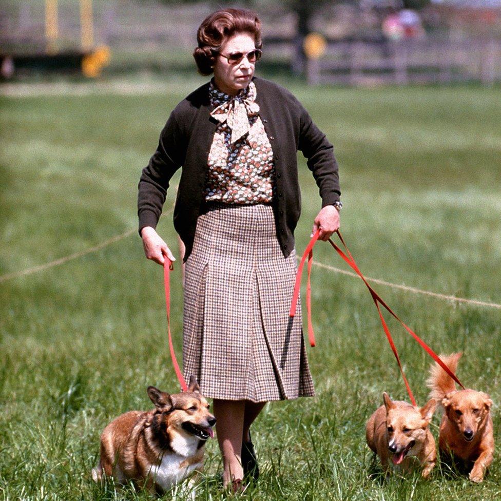 Queen Elizabeth II with some of her corgis