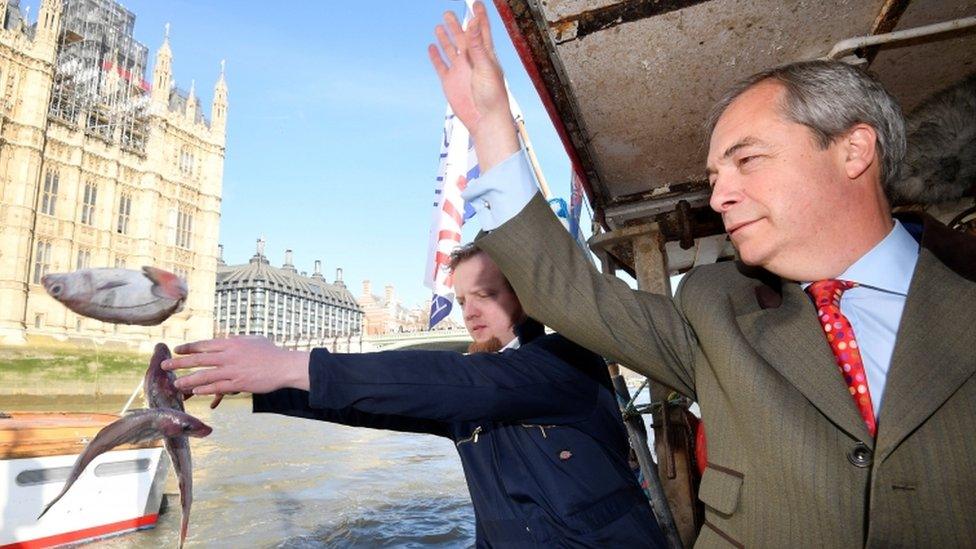 Nigel Farage throws a fish into the Thames