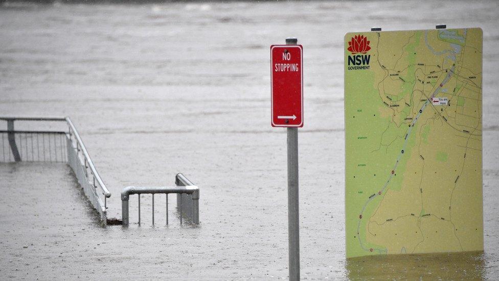 Sign boards in flooded park