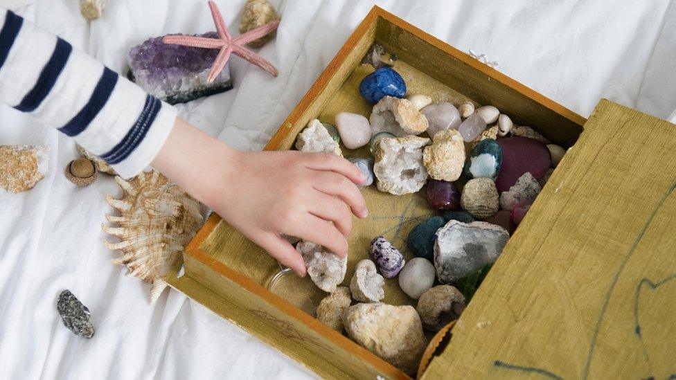 Shells and stones in a box.