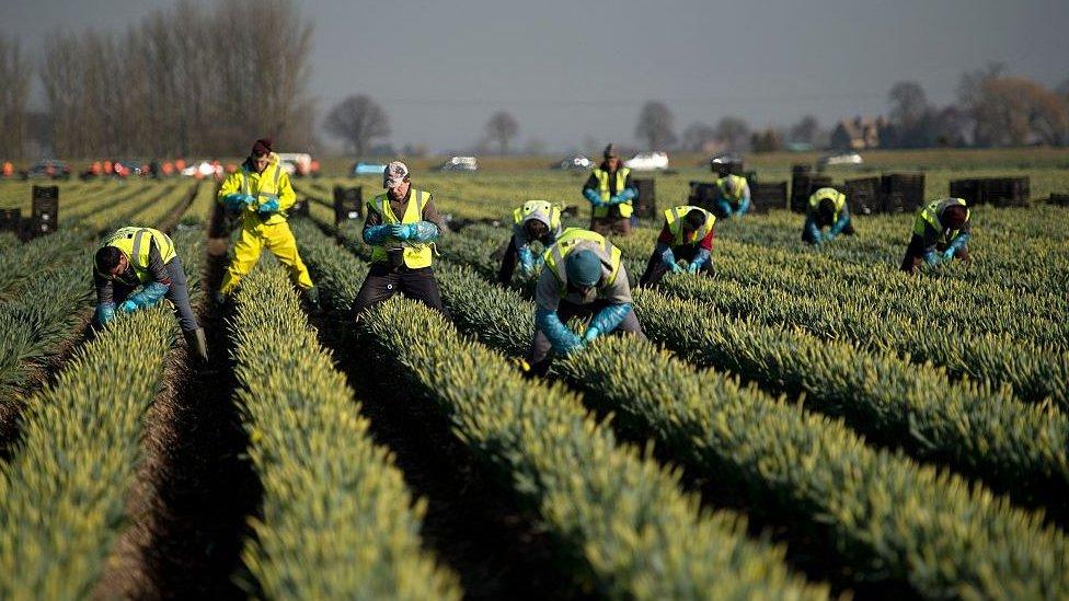 Flower pickers