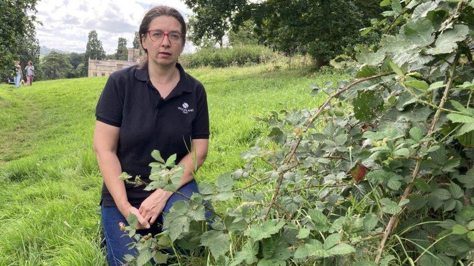 A woman crouched down by a bramble bush