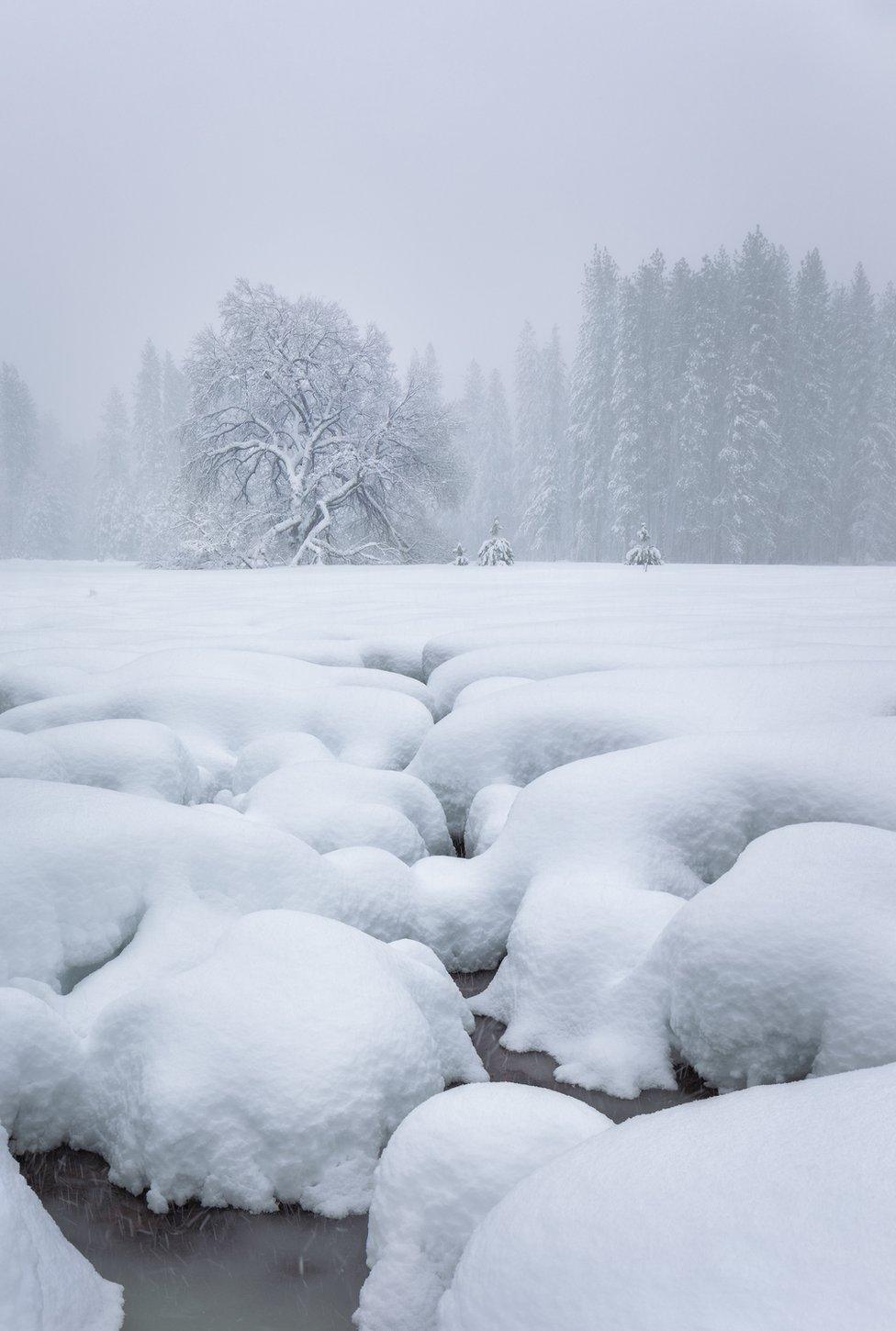 A snowy landscape