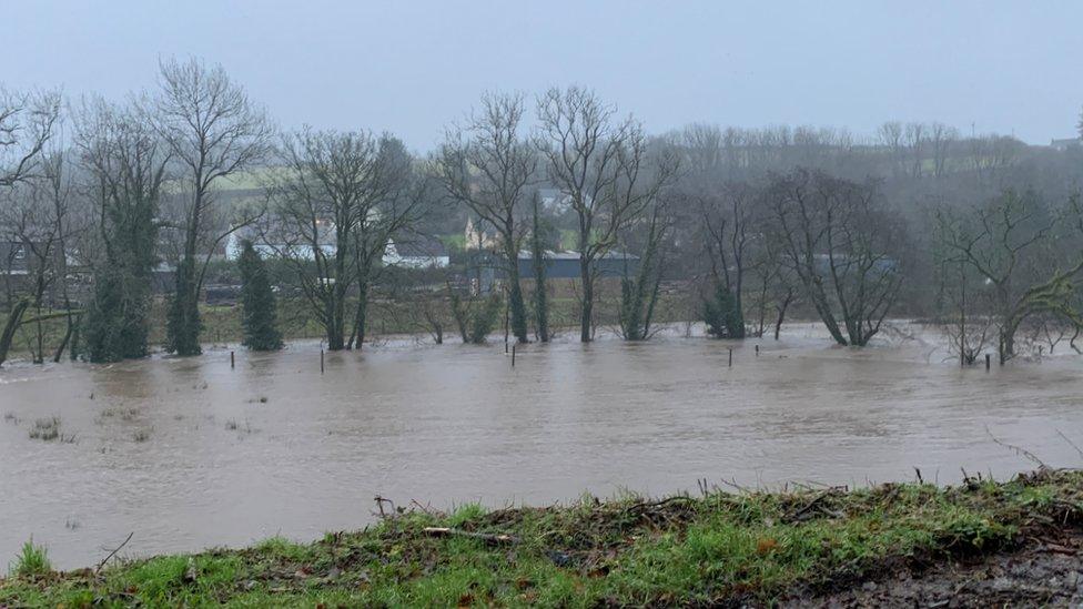 Afon Tâf yn Llanglydwen