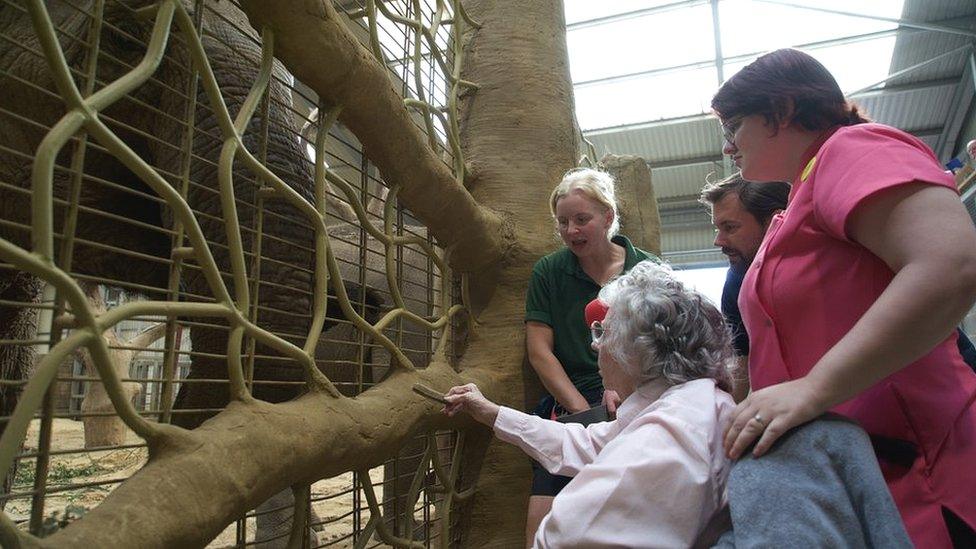 Kay Day feeding an elephant