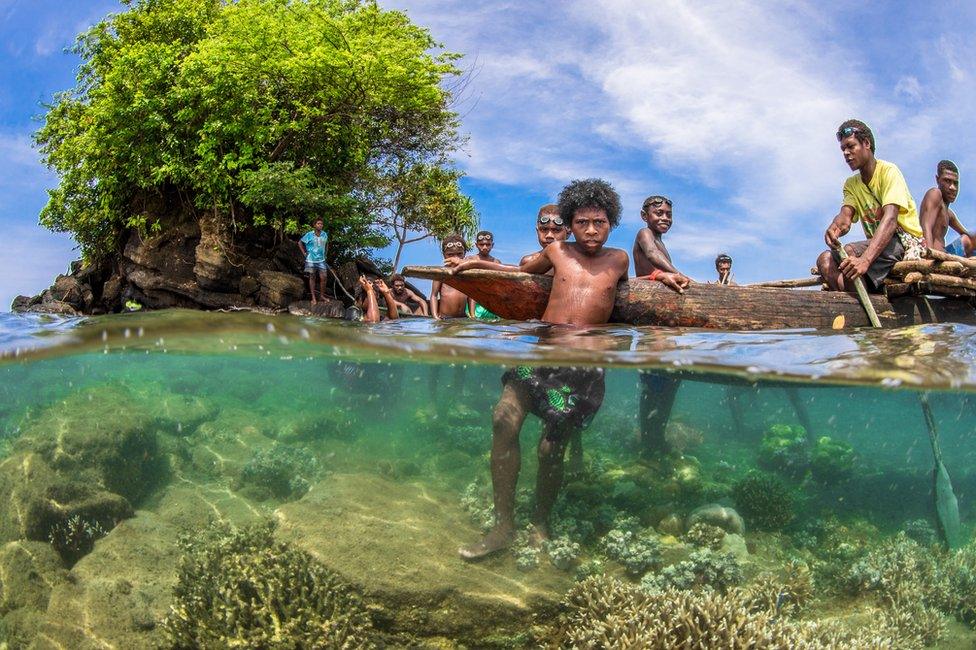 A group of adults and children in the waters near mangrove trees