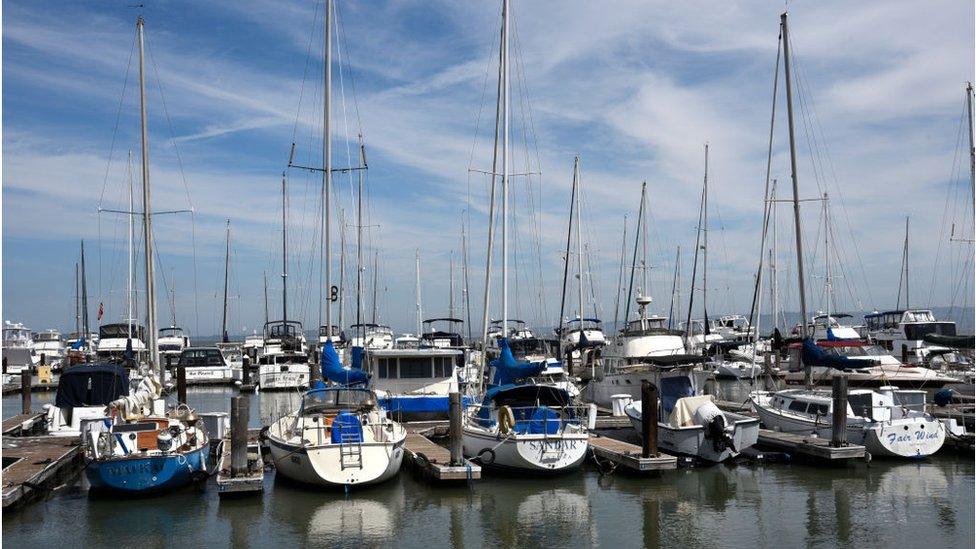 Sailboats and other leisure craft docked at a marina in San Francisco, California