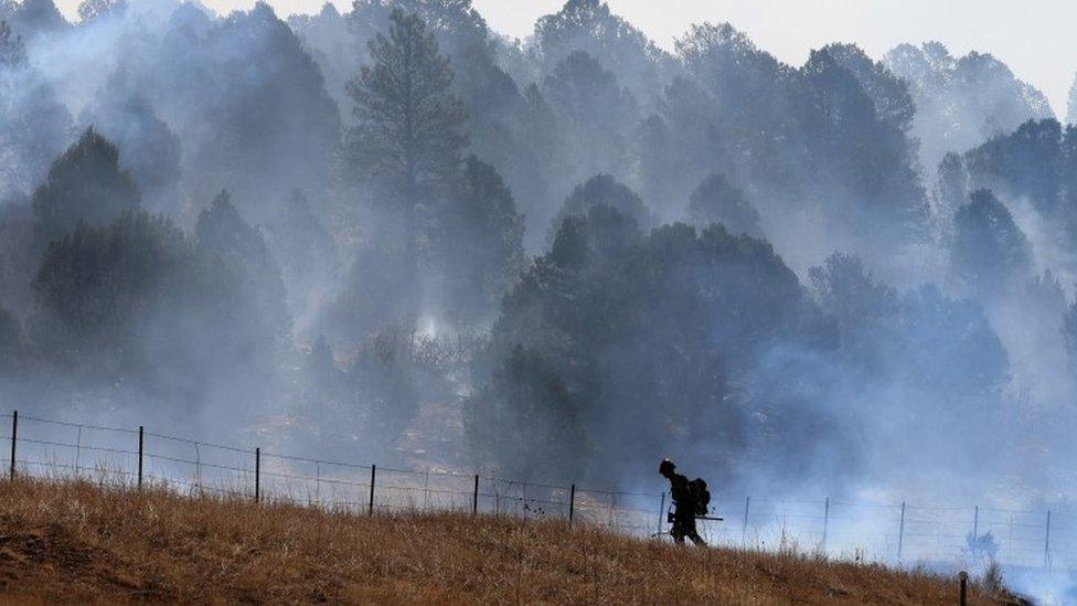 A firefighter works to combat the Hermits Peak and Calf Canyon wildfire, near Las Vegas, New Mexico