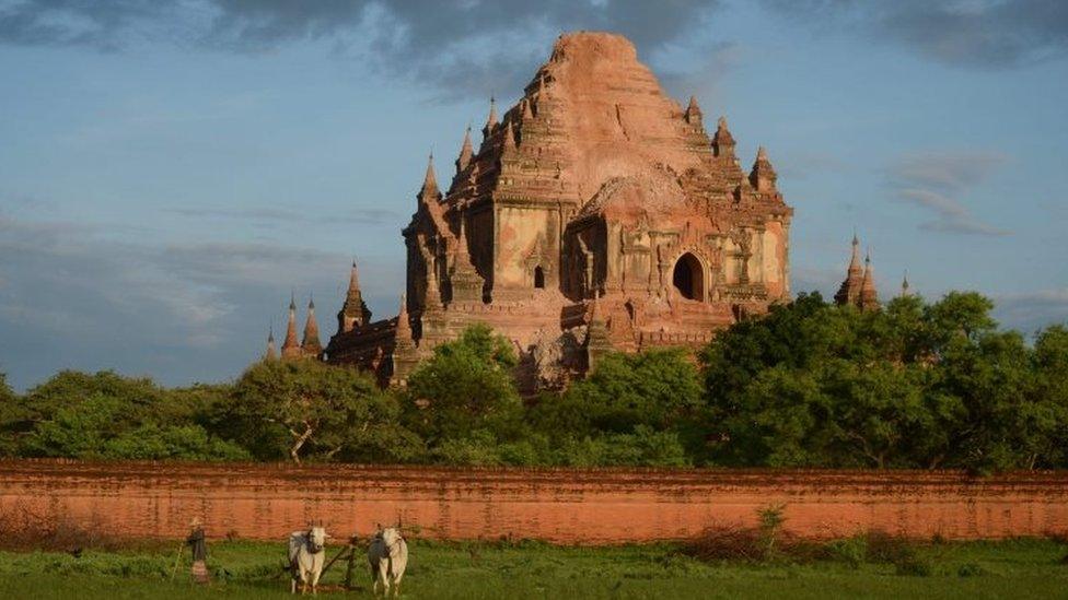 A farmer works in the field near the damaged ancient pagoda of Sulamani on August 25, 2016 after a 6.8 magnitude earthquake hit Baga