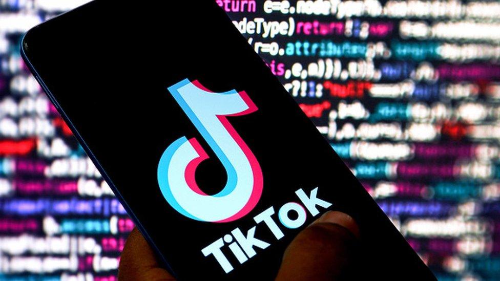 The TikTok app on a phone