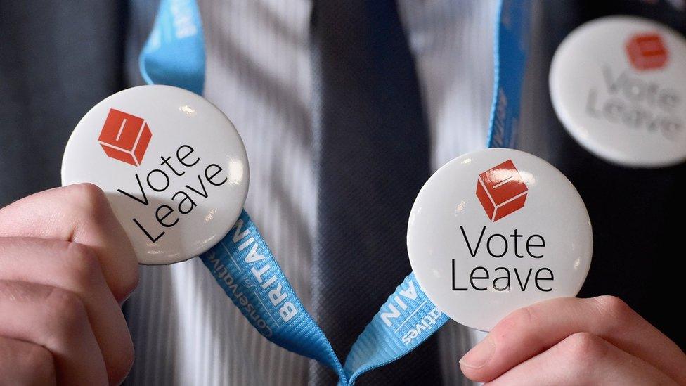 Vote Leave badges