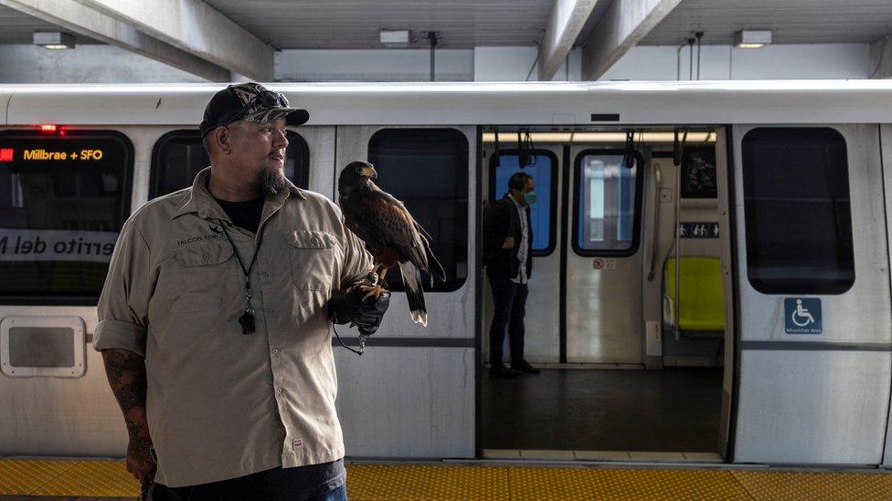 falcon-handler-ricky-holdng-pac-man