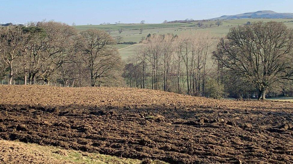 The mistakenly ploughed field